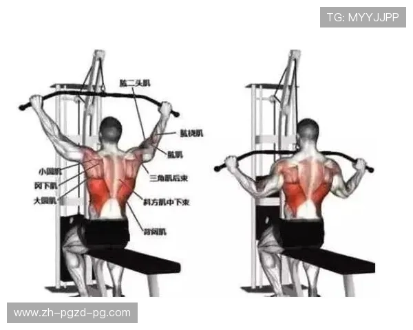 高位下拉器械实战技巧告别错误发力模式